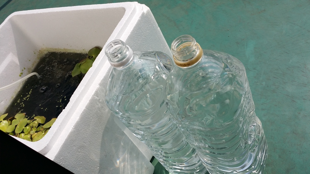 20180226 ミナミヌマエビ飼育水の換水用の水