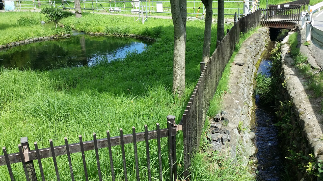 鶴見川源流の泉3