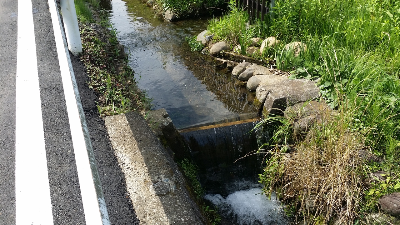 鶴見川源流の泉6